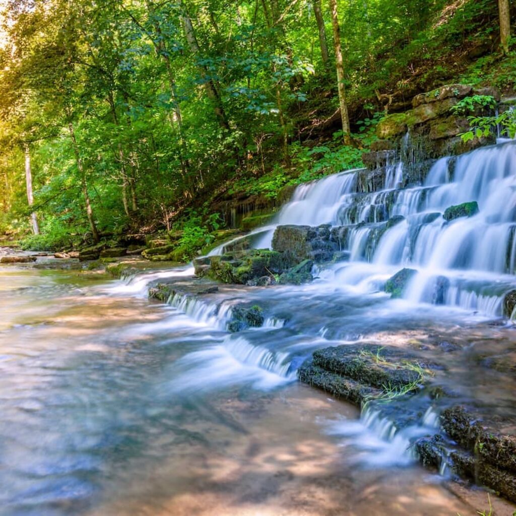 waterfall amid trees in mercer county kentucky