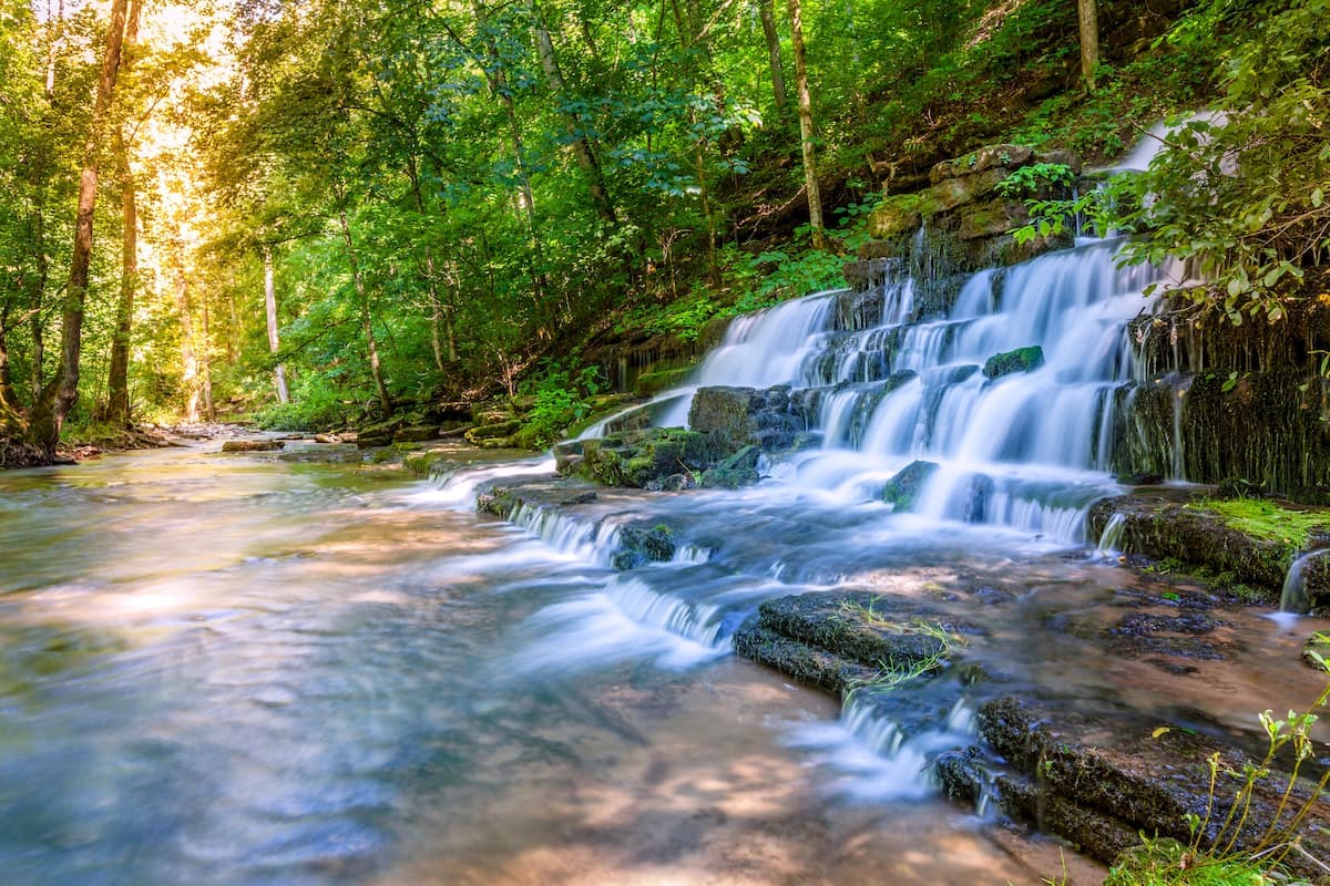 waterfall amid trees in mercer county kentucky