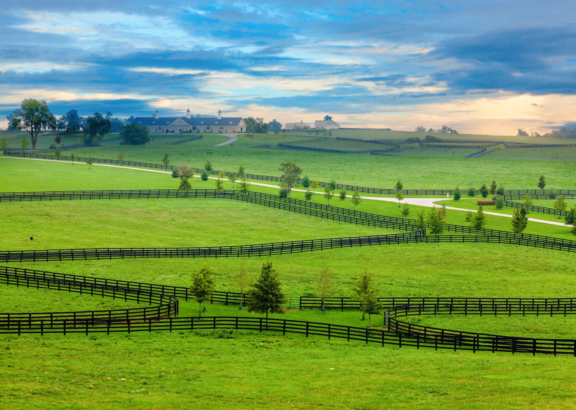 Scenic overlook of a horse farm in Central Kentucky